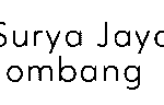 logo 22